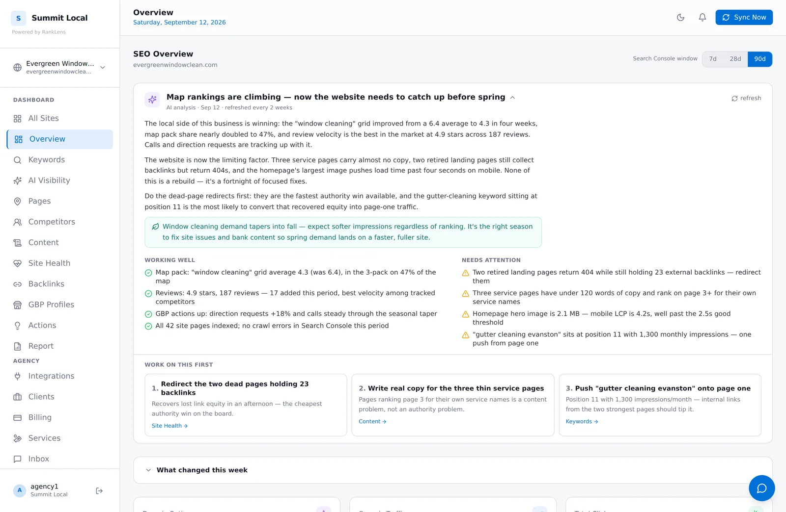 RankLens SEO Overview - AI analysis brief with what's working, what needs attention, and a prioritized work-on-this-first list